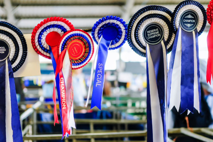 2021 County Fairs in Ohio - Cutler Real Estate